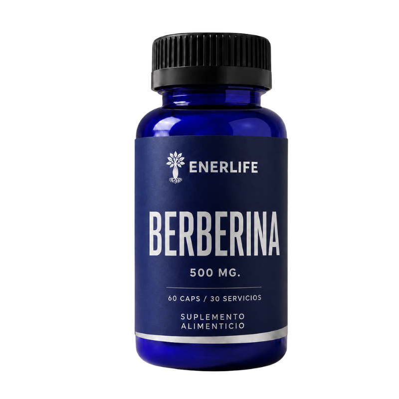 BERBERINA 500 mg - 60 caps / 30 servicios