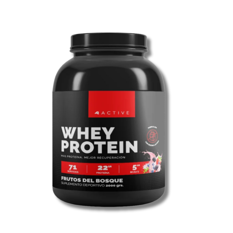 WHEY Protein (SIN Gluten / Lactosa / Azúcar) - 2000 grs / 71 servicios, sabores